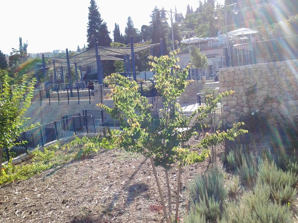 Rosary Sister Guest House Ein Karem Jerusalem Exterior photo